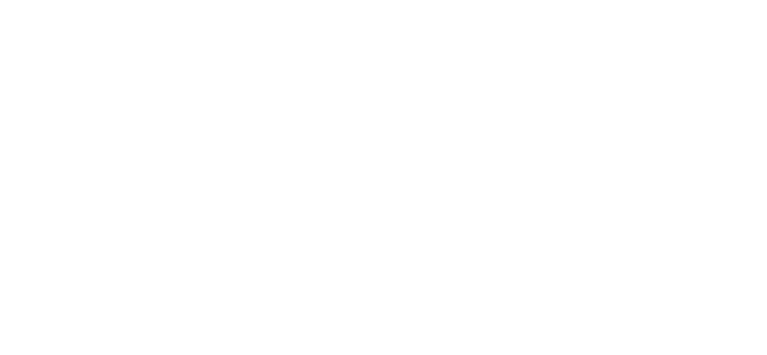 BIERA Grupo Inmobiliario